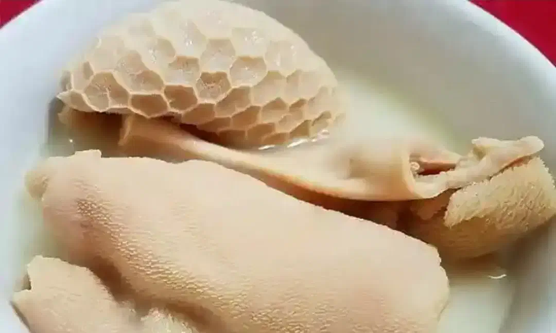 آشپز یا کمک آشپز در طباخی|استخدام خدمات فروشگاه و رستوران|تهران, خانی آباد نو جنوبی|دیوار