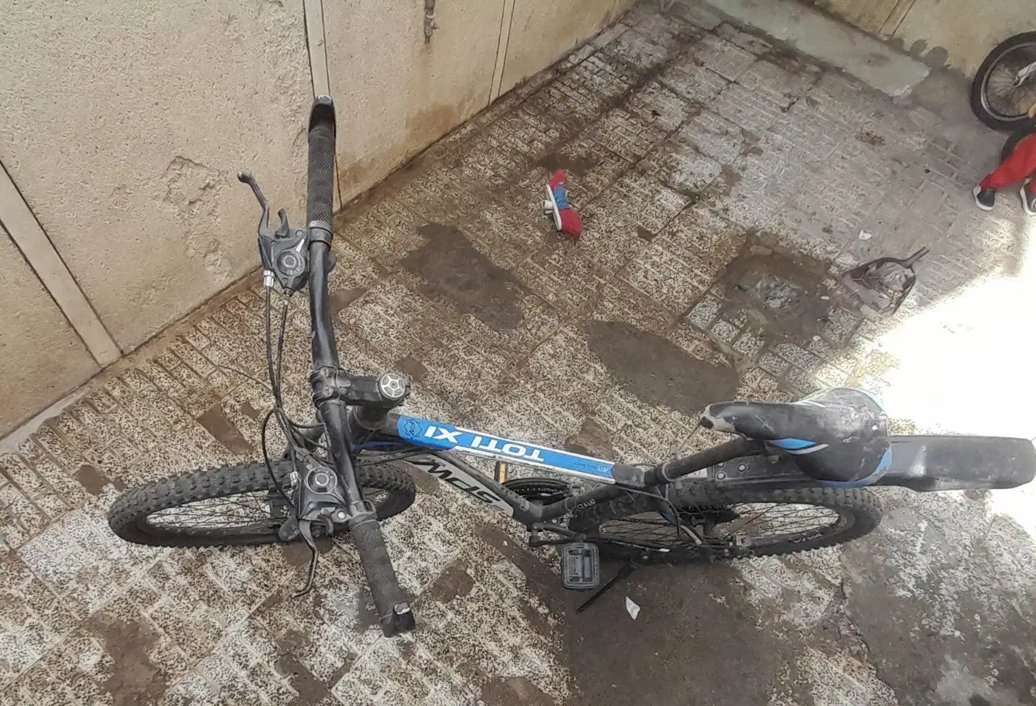 دوچرخه|دوچرخه، اسکیت، اسکوتر|مشهد, محمدآباد|دیوار