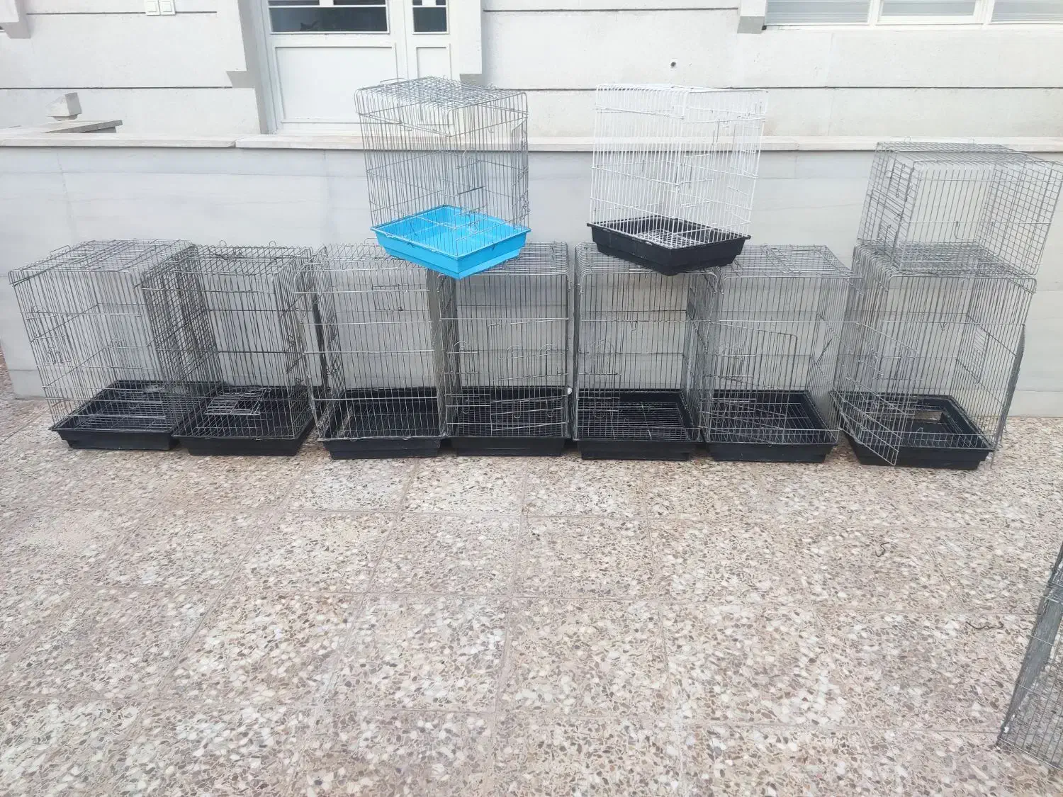 قفس طوطی|لوازم جانبی حیوانات|کازرون, |دیوار