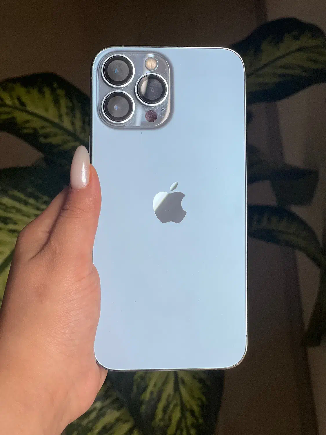 آیفون 13pro max|موبایل|تربتحیدریه, مظفریه|دیوار