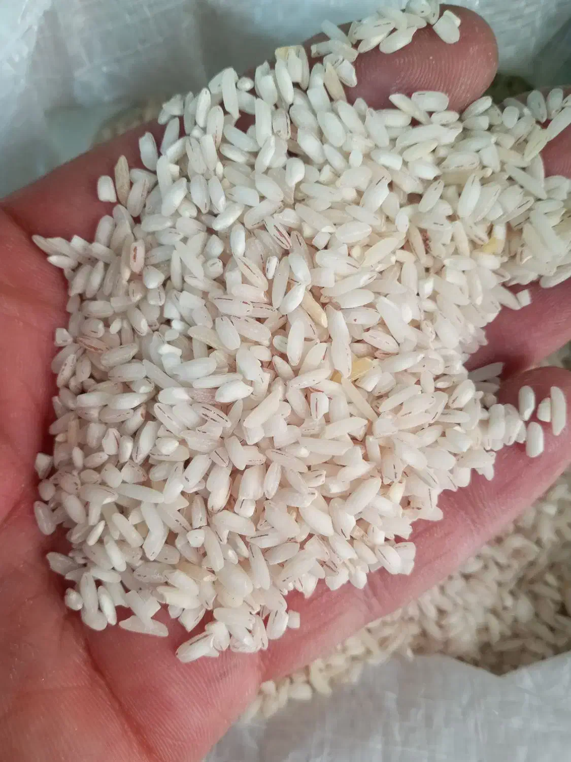 برنج هاشمی و سرلاشه هاشمی|خوردنی و آشامیدنی|رباطکریم, نصیرشهر|دیوار