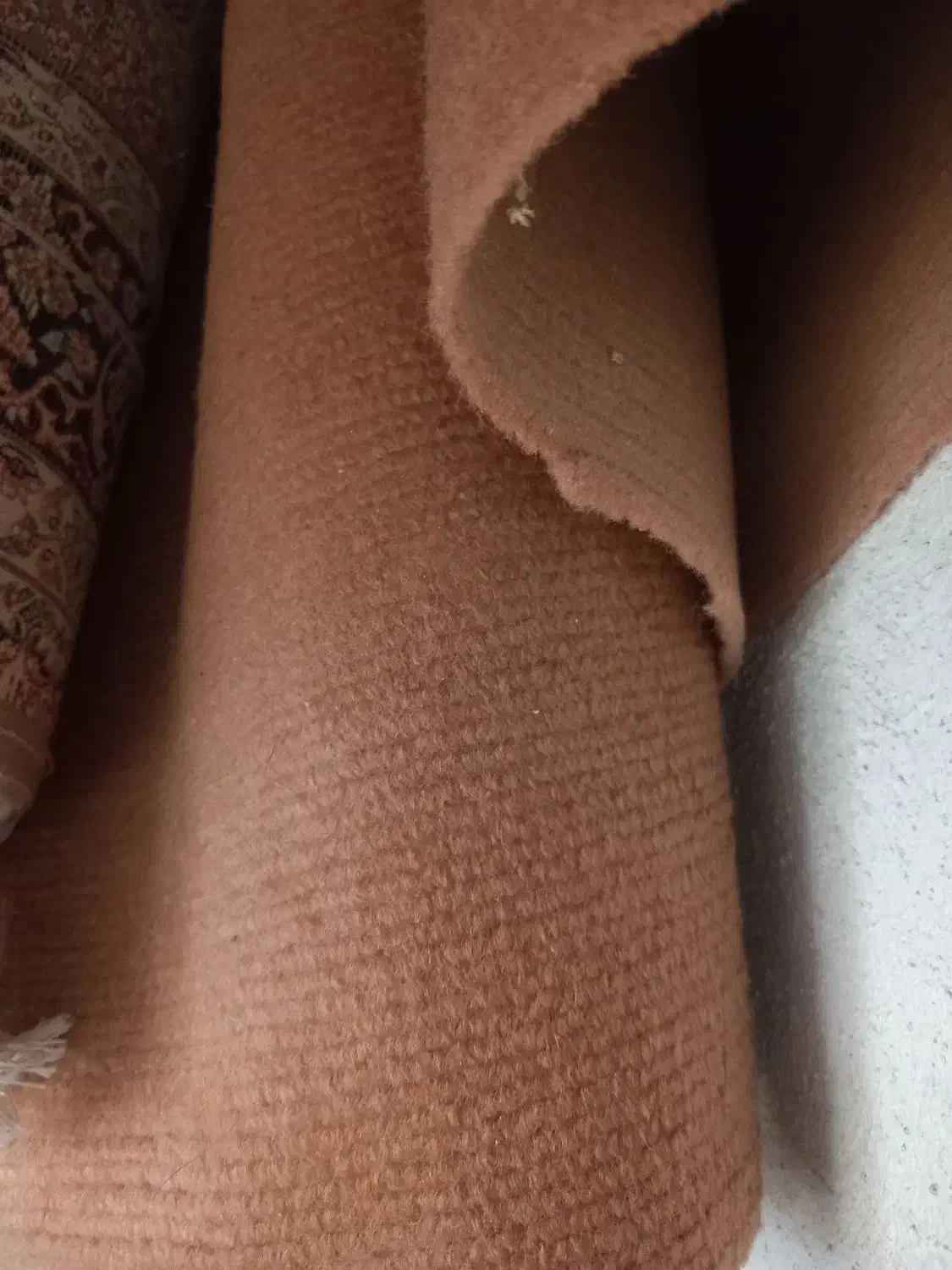 موکت|موکت|املش, |دیوار