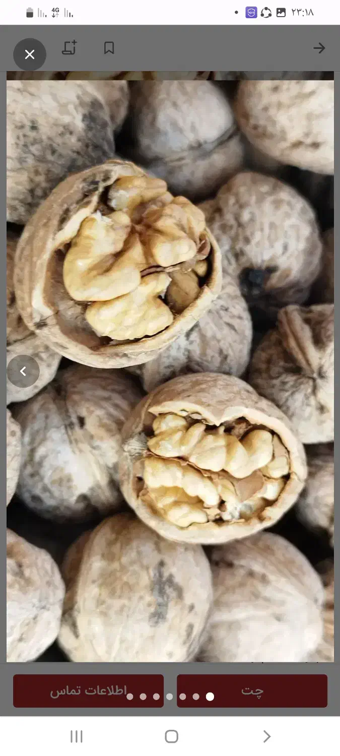 گردو درج یک تحویل درب منزل به شرط پسند شما|حراج|قروه, |دیوار