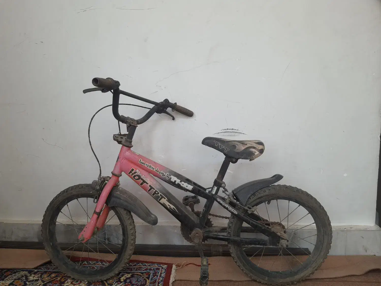 دو تا دو چرخه|دوچرخه، اسکیت، اسکوتر|قم, باجک سه|دیوار