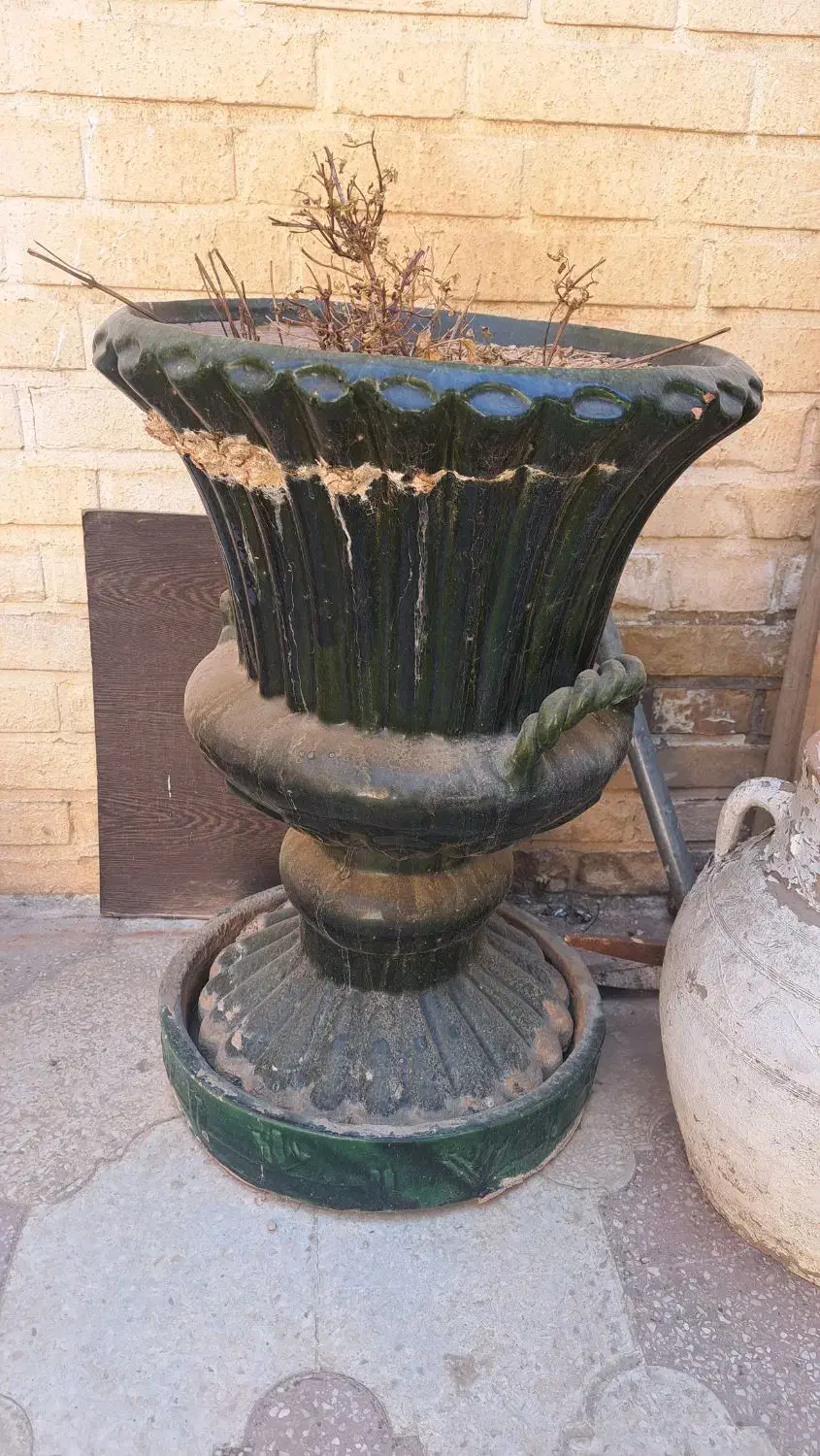 گلدان بزرگ|گل و گیاه طبیعی|شیراز, تحویلی|دیوار