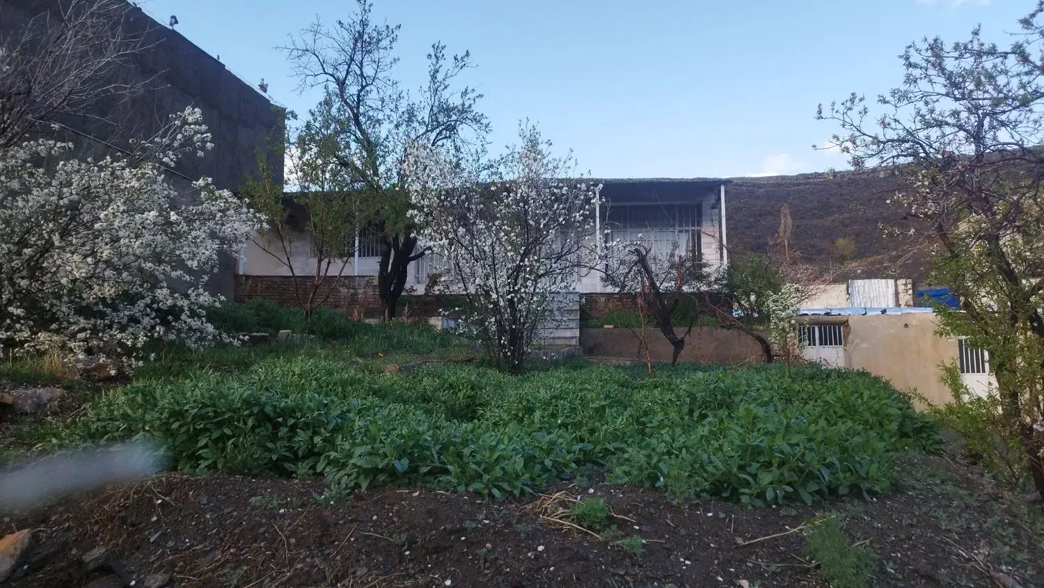 فروش ویلا زمین|فروش خانه و ویلا|خوانسار, |دیوار