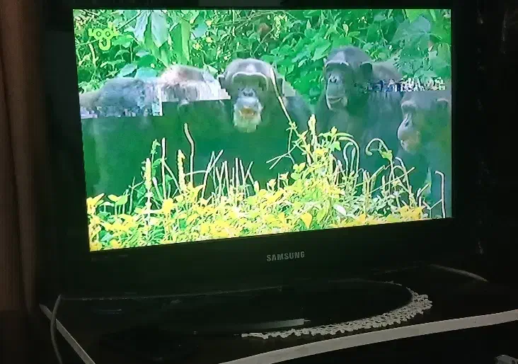 تی وی مانیتور سامسونگ26اینچ|تلویزیون و پروژکتور|بومهن, |دیوار