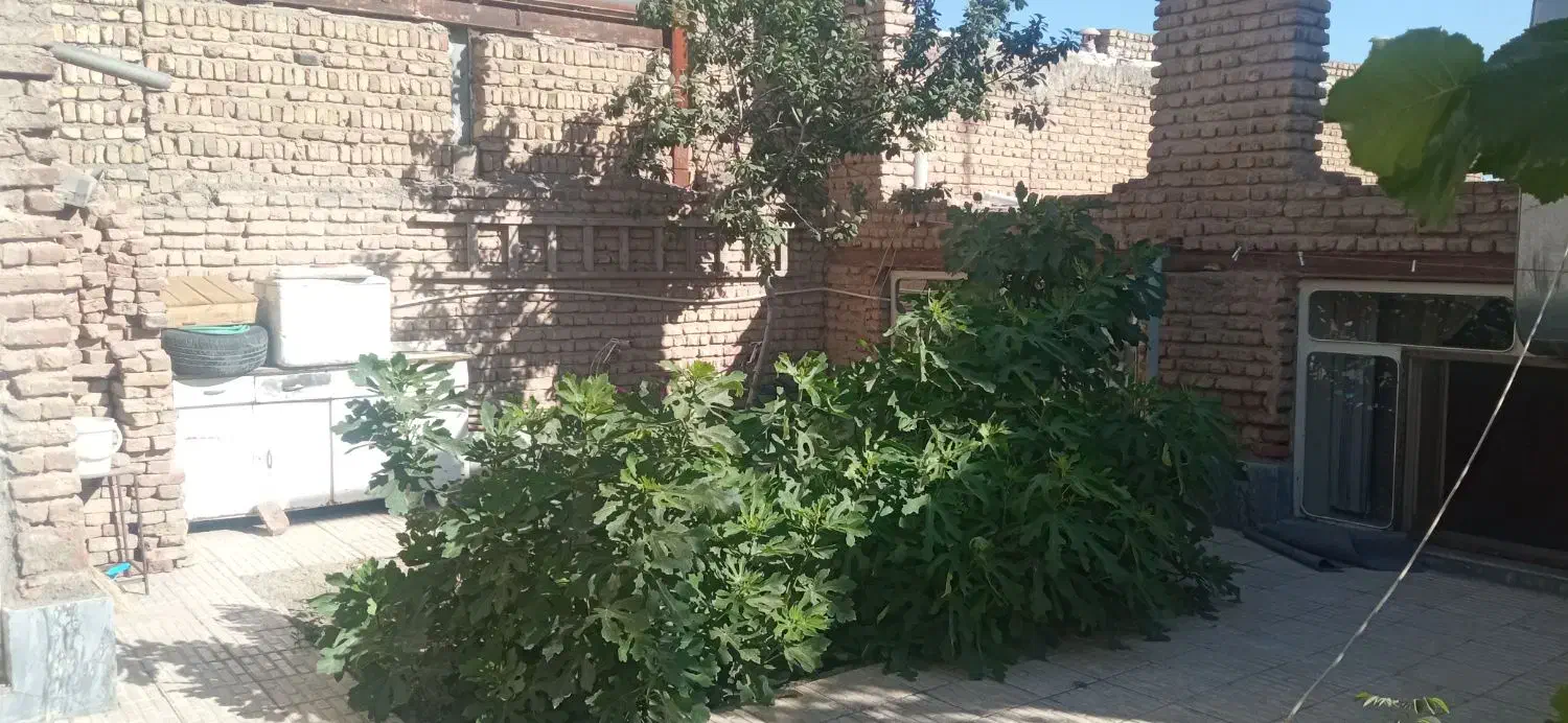 تصویر 7