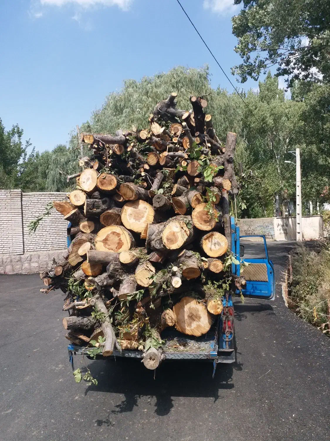 خرید چوب|خدمات باغبانی و درختکاری|مرند, |دیوار