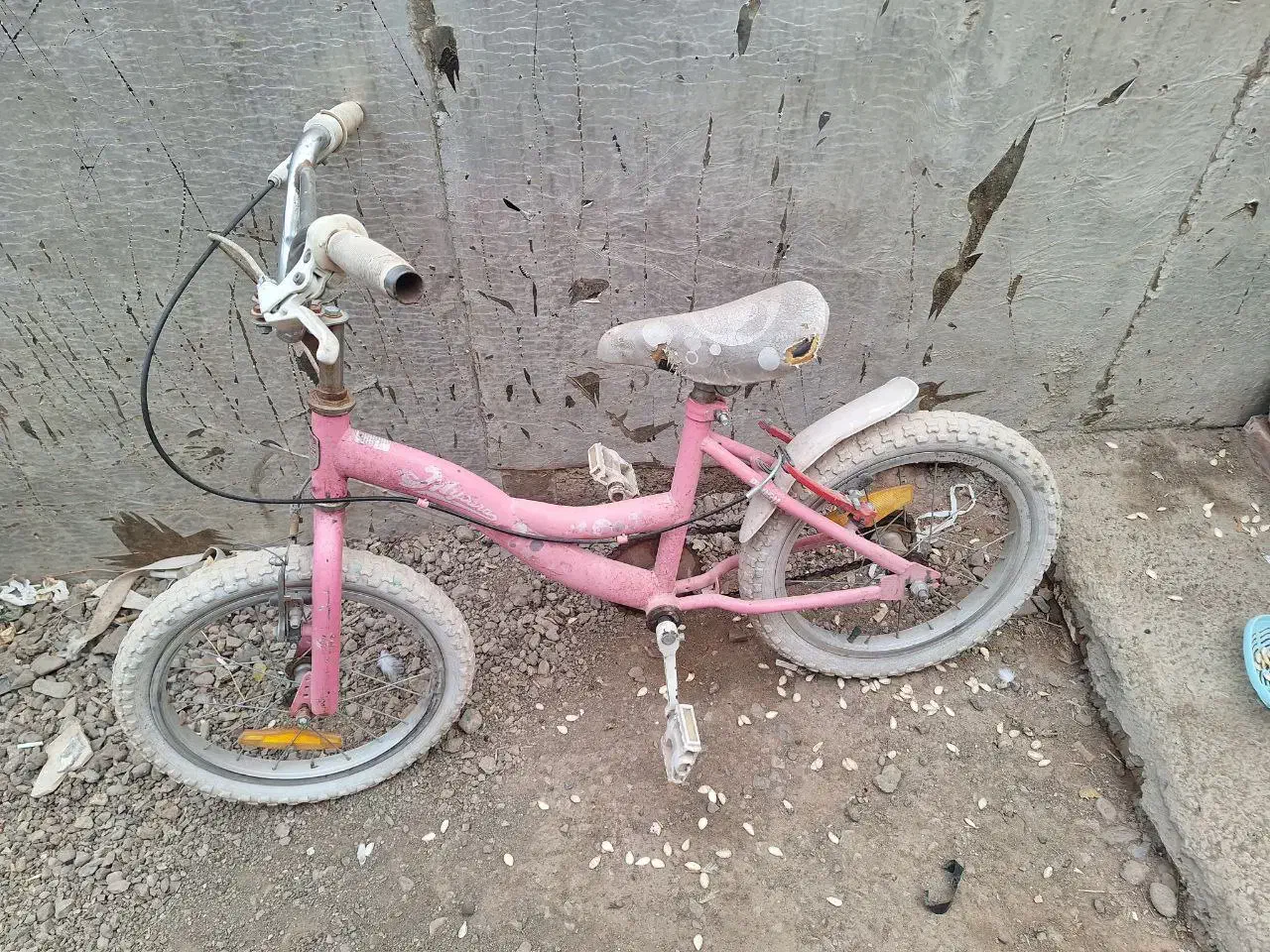 دوچرخه|دوچرخه، اسکیت، اسکوتر|الوند, |دیوار