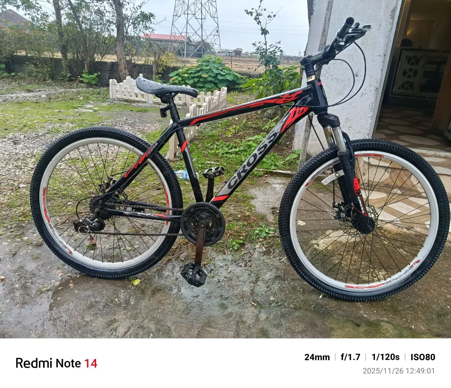 دوچرخه|دوچرخه، اسکیت، اسکوتر|لیسار, |دیوار