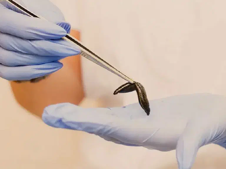 مرکز طب سنتی و پوست دکتر آذین اسکندری|خدمات آرایشگری و زیبایی|دوگنبدان, |دیوار