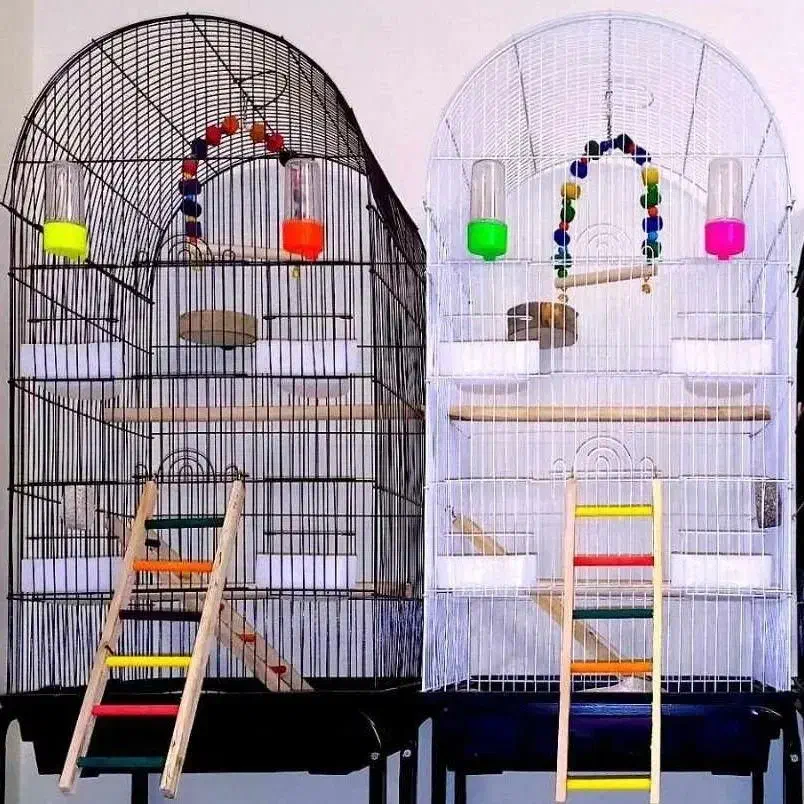 فروشگاه لوازم جانبی پرندگان|لوازم جانبی حیوانات|بیرجند, |دیوار