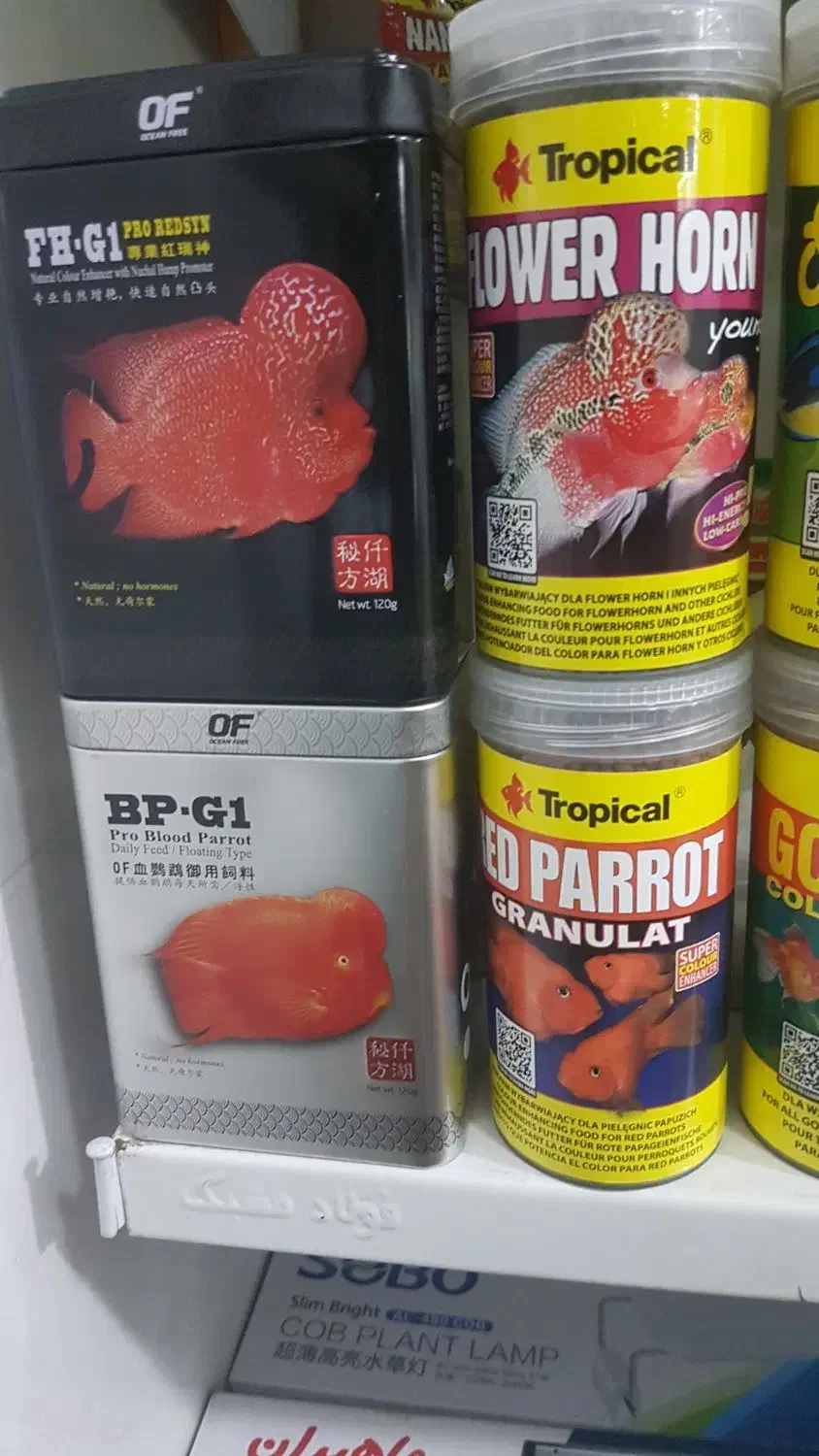 دارو غذای ماهی متنوع بیولوژیکی مدیاباکتری مفید سیف|ماهی|مشهد, امیر|دیوار