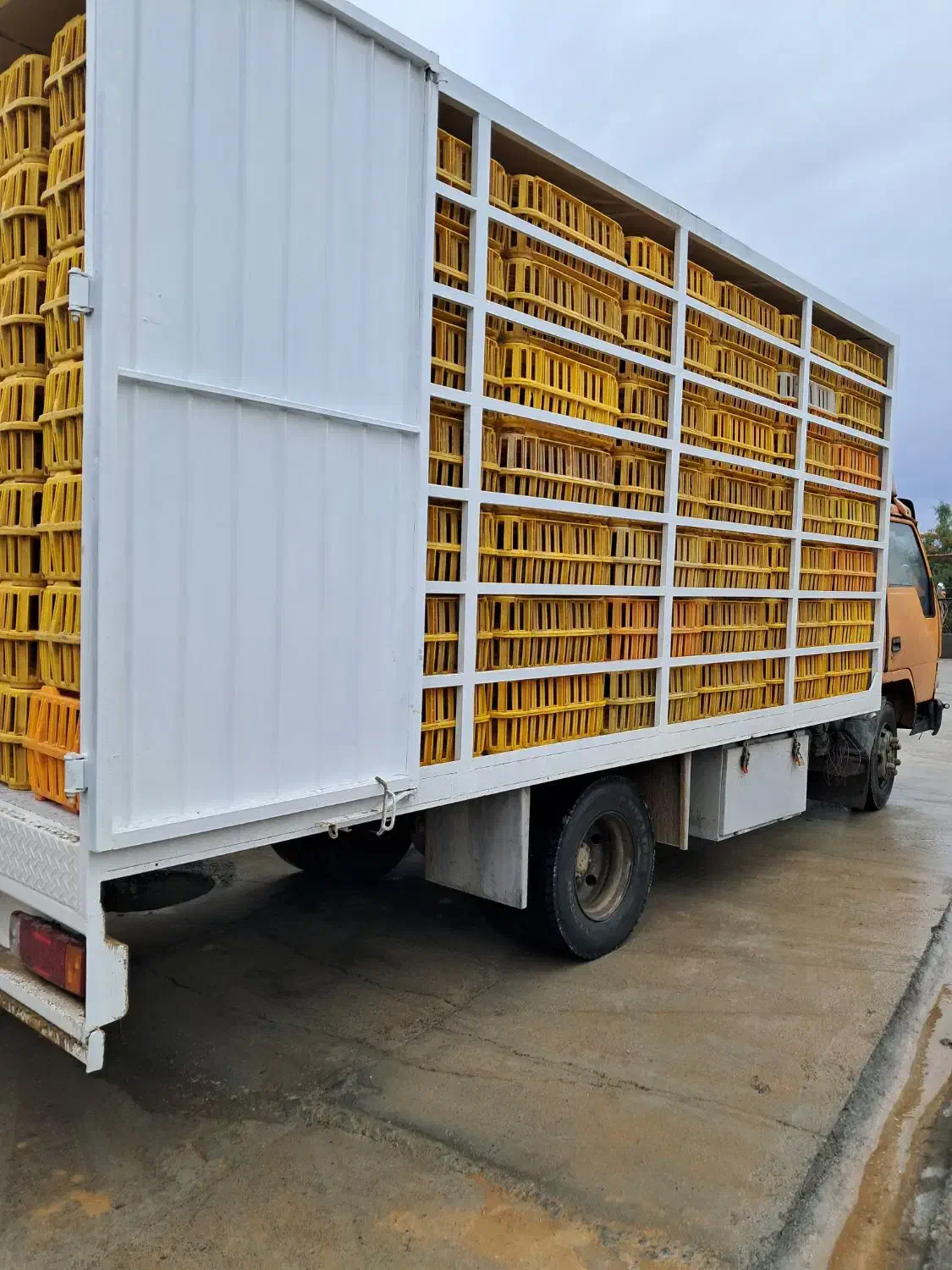 هیوندا مدل ۸۶|خودرو سنگین|فاضل آباد, |دیوار