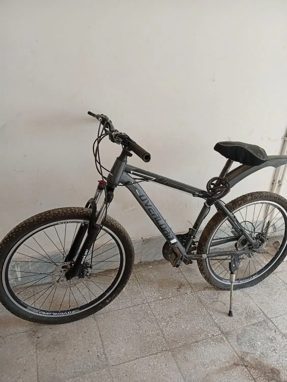 دوچرخه|دوچرخه، اسکیت، اسکوتر|تربت‌حیدریه, شهرک ولیعصر|دیوار