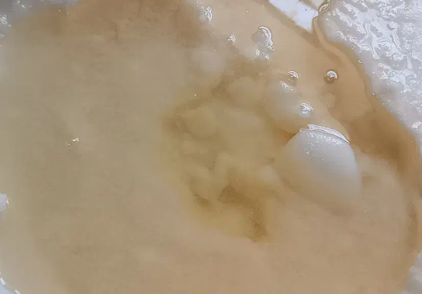 روغن دنبه مخلوط با شحله ارگانیک و بدون افزودنی|خوردنی و آشامیدنی|مشهد, کوی المهدی|دیوار