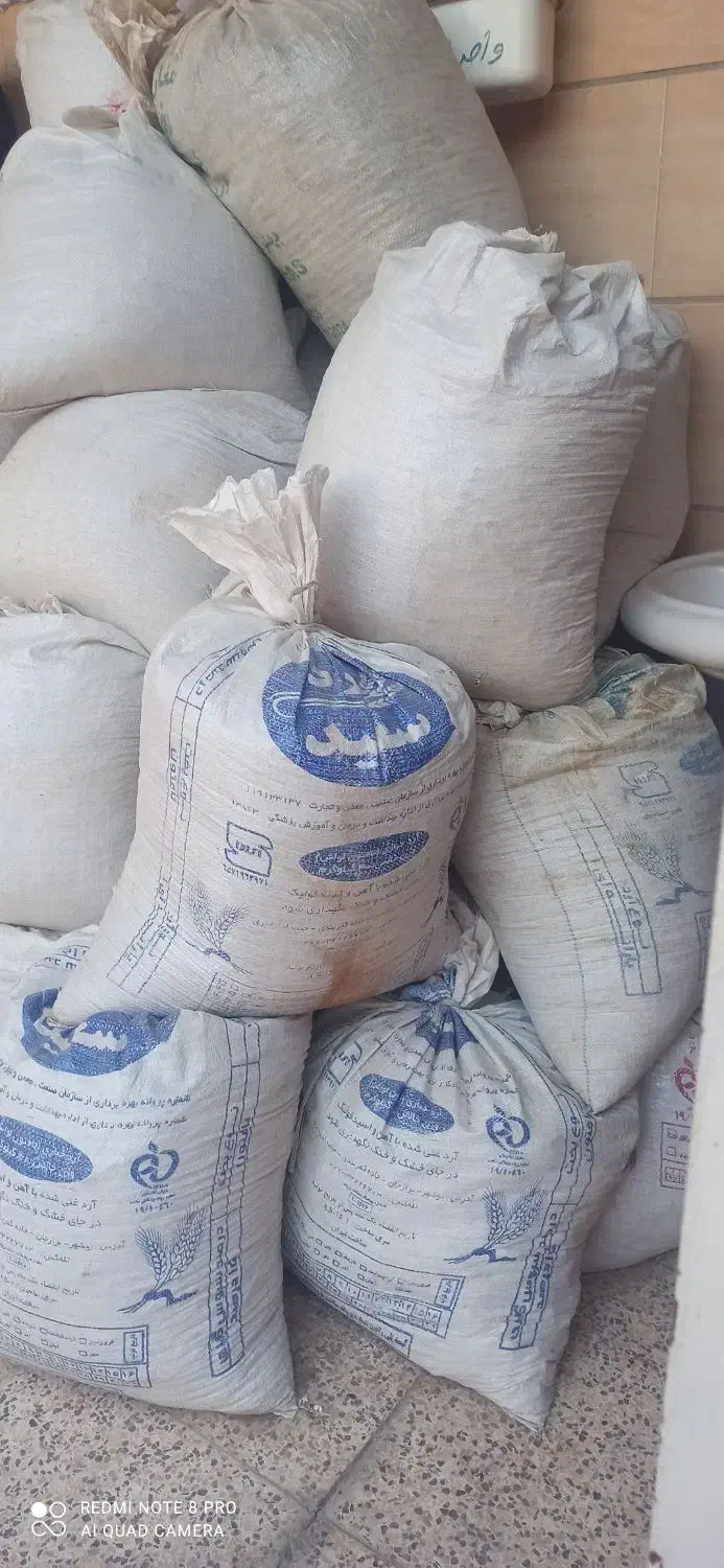 ک و د مرغ|گل و گیاه طبیعی|برازجان, |دیوار