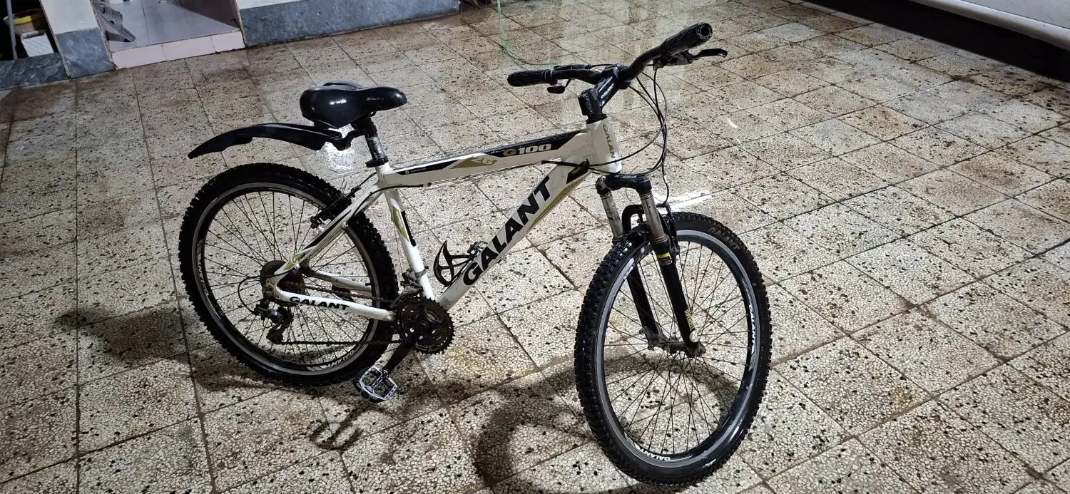 دوچرخه GALANT|دوچرخه، اسکیت، اسکوتر|امیدیه, |دیوار