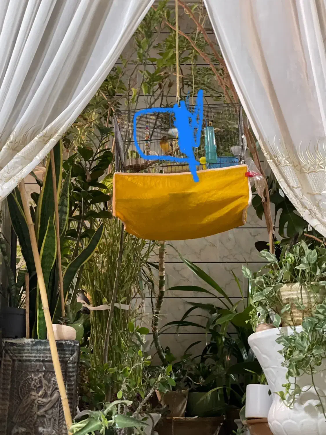 گم شده|حیوانات|مبارکه, |دیوار