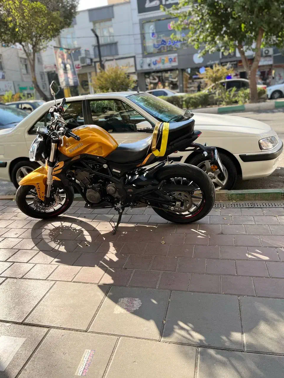 بنلی ۳۰۰ اقساط تا ۴ ماه بدون سود|موتورسیکلت|فردیس, فردیس|دیوار