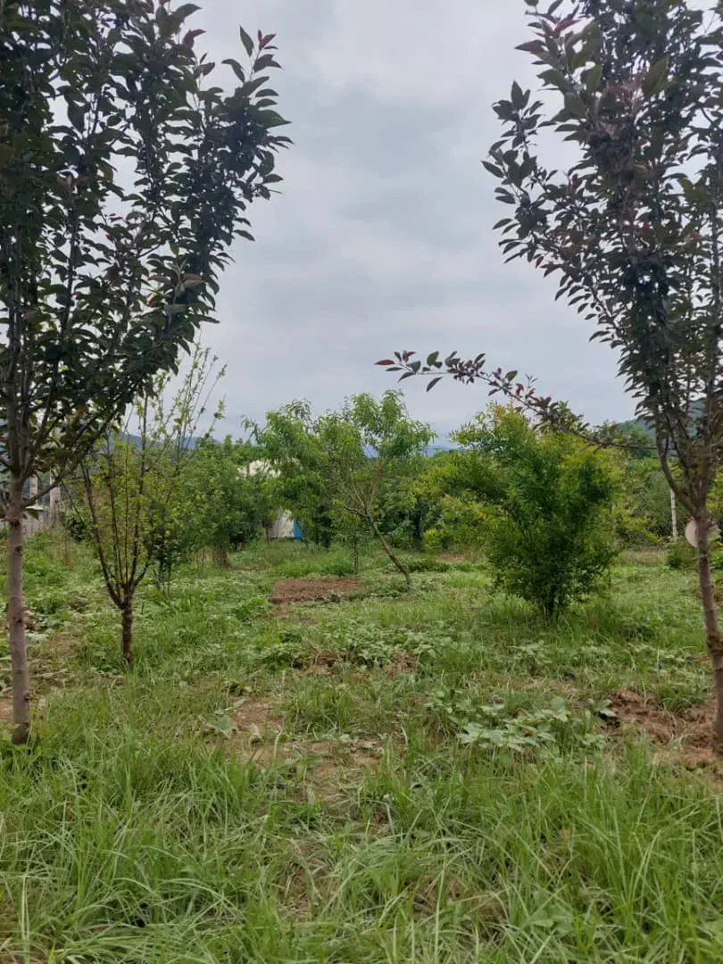 ۲۰۰متر زمین باغی مسکونی|فروش زمین و ملک کلنگی|مینودشت, |دیوار