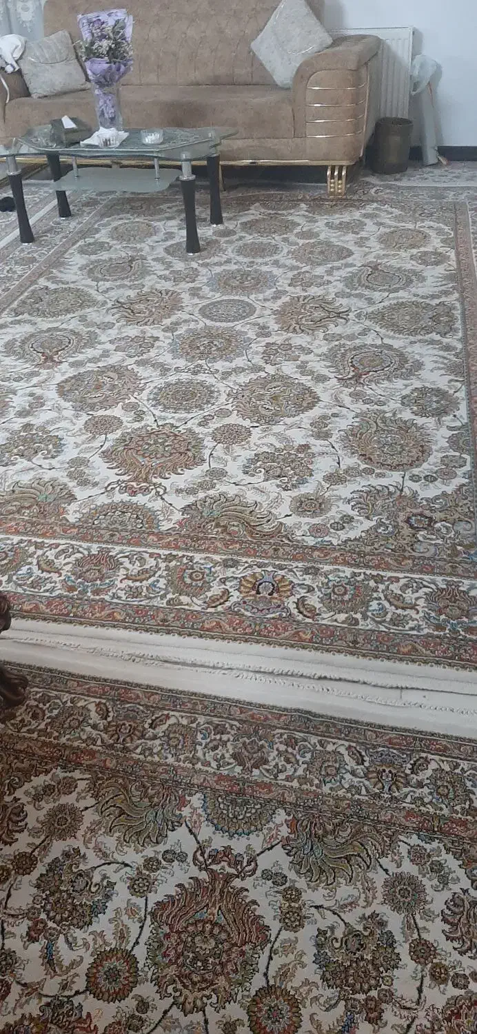 فرش 12 و9متری|فرش|قم, باغ کرباسی|دیوار