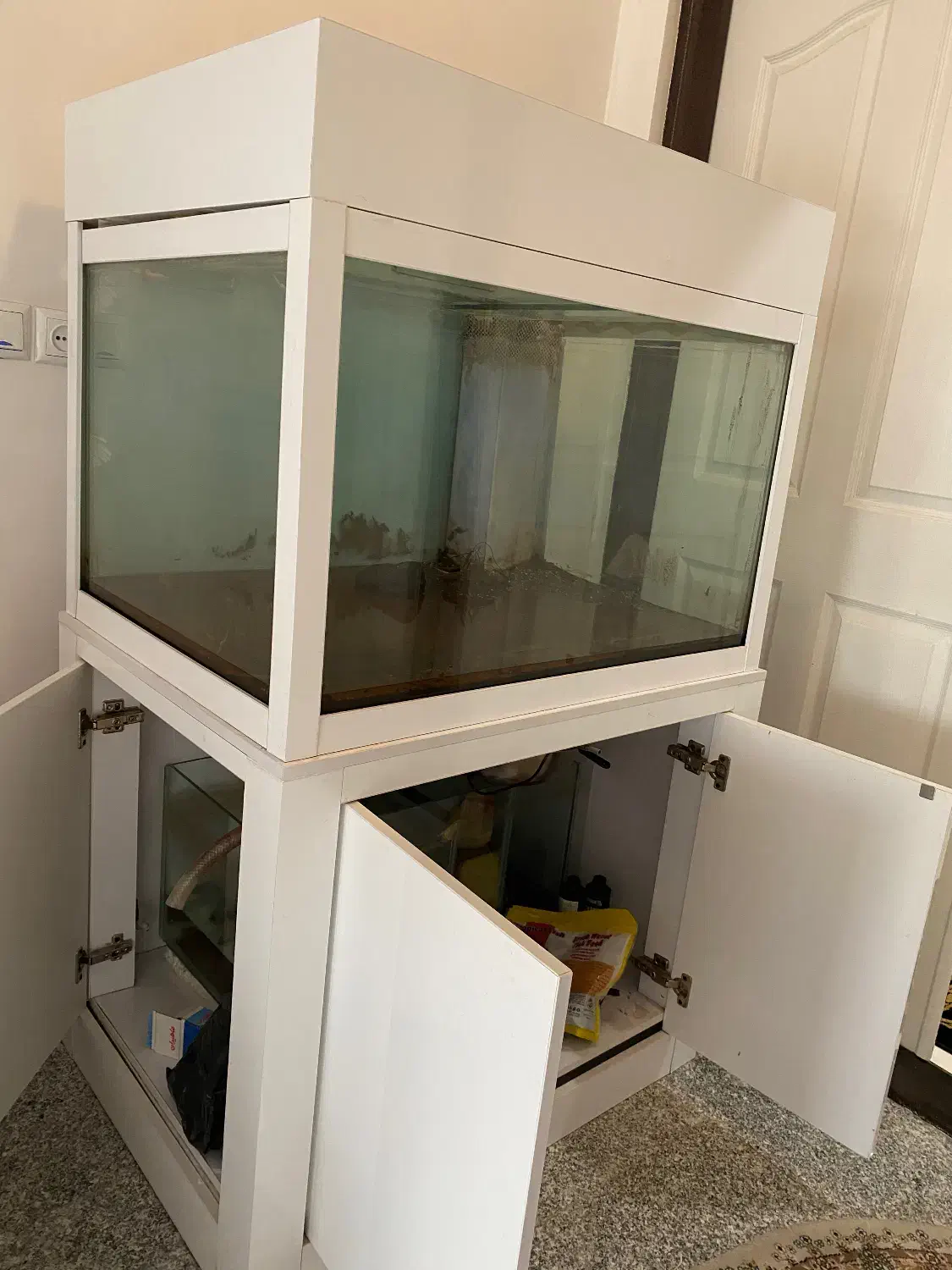 آکواریوم|ماهی|ارومیه, |دیوار