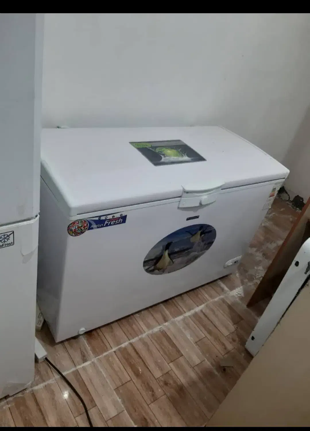 فریزر صندوقی|یخچال و فریزر|اهواز, کوی علوی|دیوار