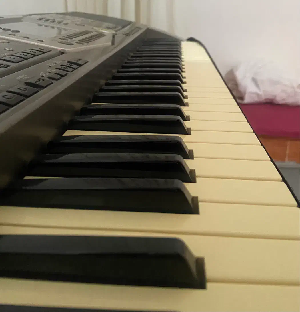 ارگ یاماهاpsr1000|پیانو، کیبورد، آکاردئون|صحنه, |دیوار