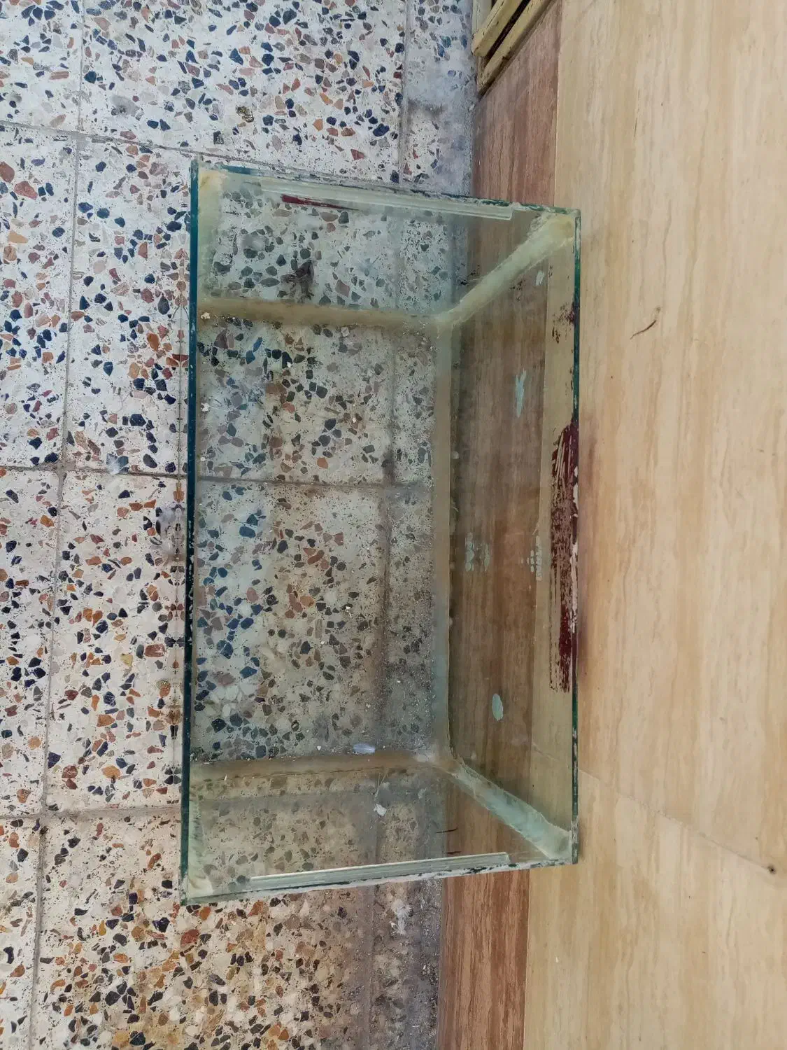 آکواریوم توضیحات بخون|ماهی|ایذه, |دیوار