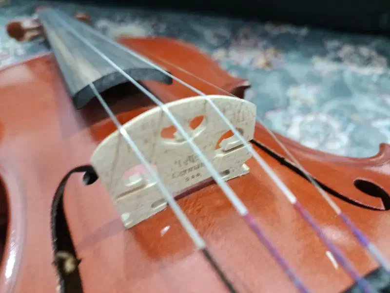 ویولن amati 150 تقویت شده|ویولن|قدس, شهرقدس|دیوار