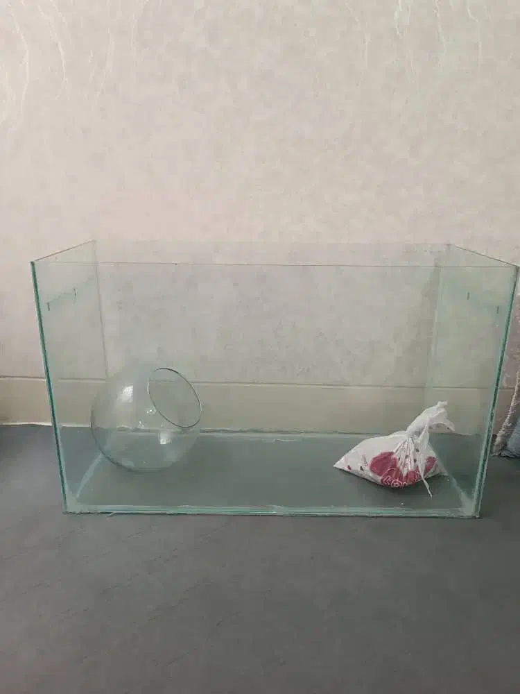 آکواریوم نو و سالم|ماهی|شیراز, شهرک مفتح|دیوار