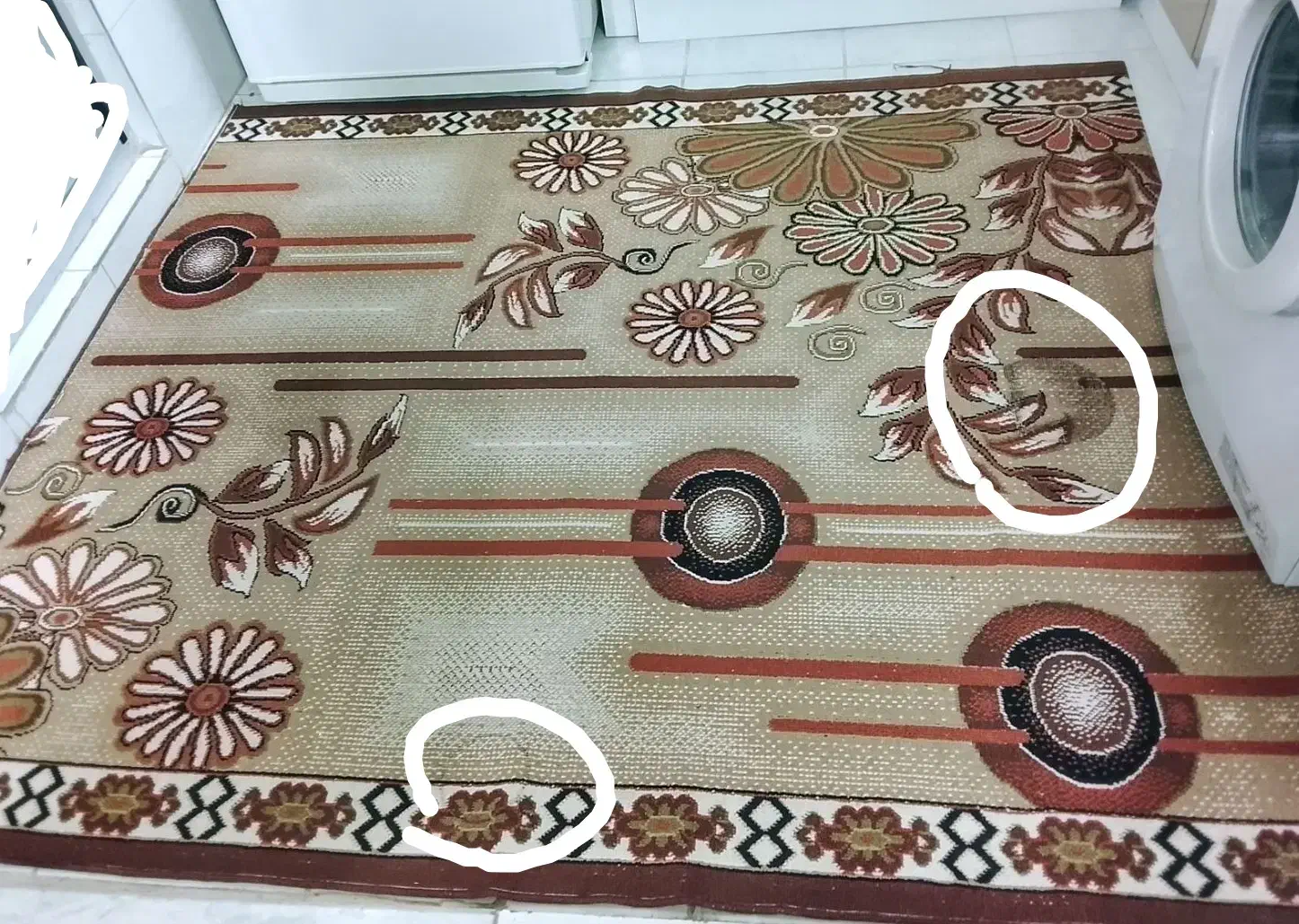 گلیم فرش|گلیم، جاجیم، گبه|قم, نوبهار|دیوار