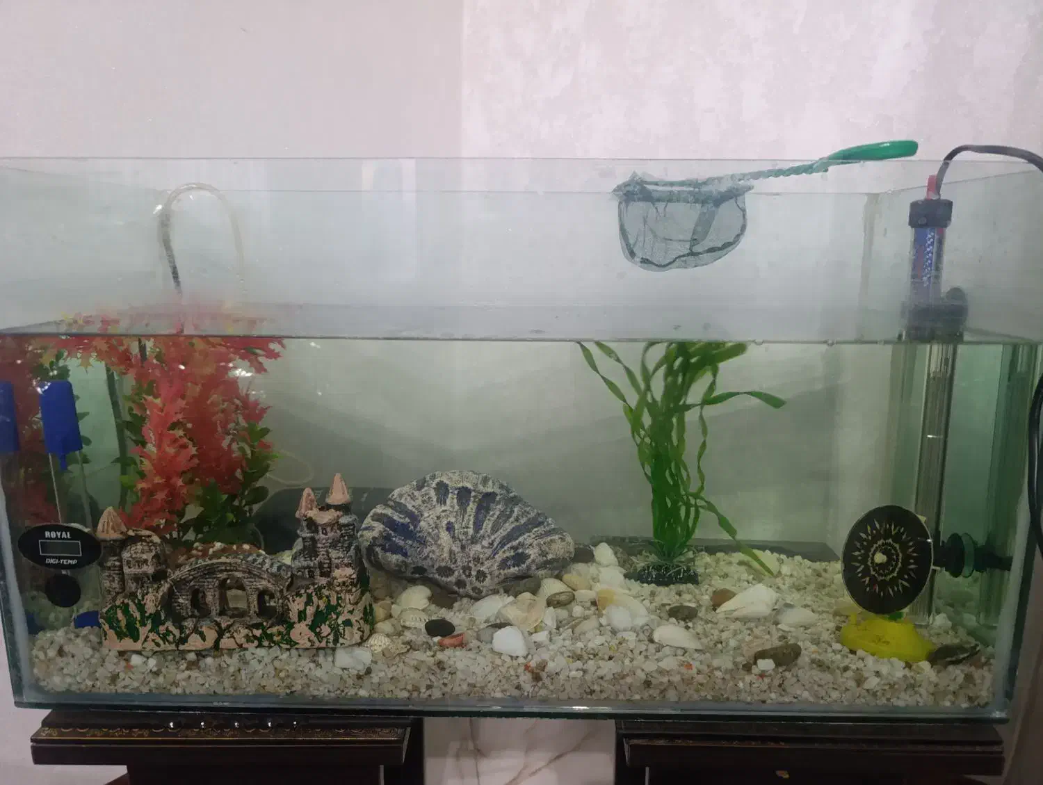 اکواریوبا لوازم سالم|ماهی|خاوران, |دیوار