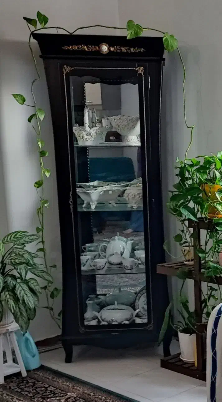 بوفه، ویترین|بوفه، ویترین، کنسول|بندرعباس, |دیوار