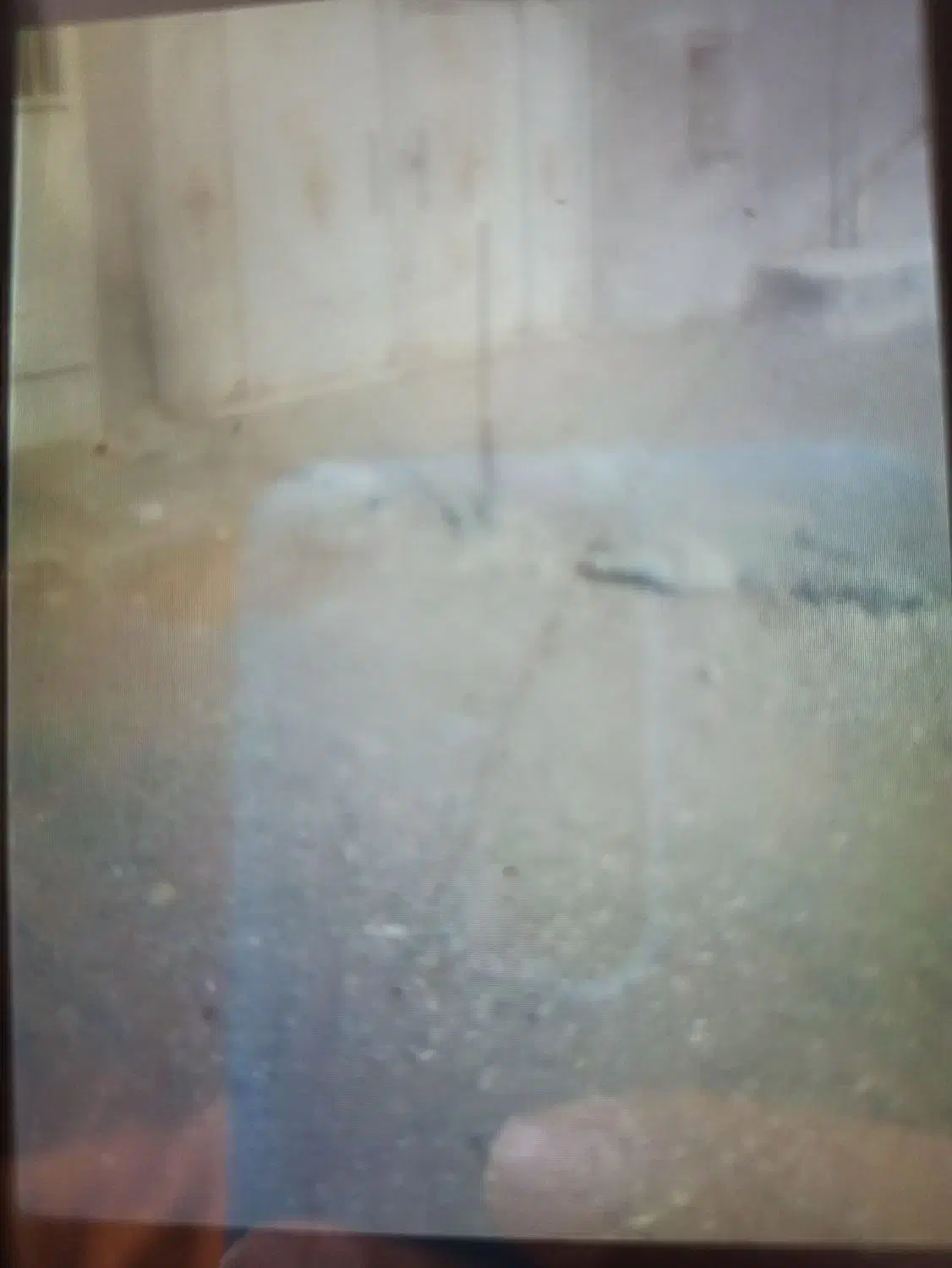 سوله جهت انباری و کارگاه|اجارهٔ دفتر صنعتی، کشاورزی، تجاری|سبزوار, خسروجرد|دیوار