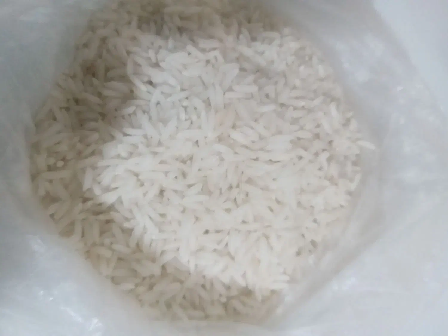 فروش برنج از تولید به مصرف|عمده‌فروشی|سنگر, |دیوار