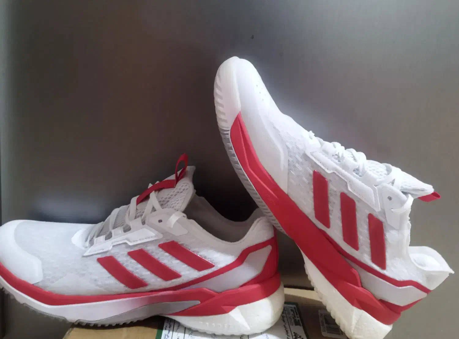 کفش والیبال کریزی فلایت ۵ اورجینال|کیف، کفش، کمربند|رودهن, |دیوار