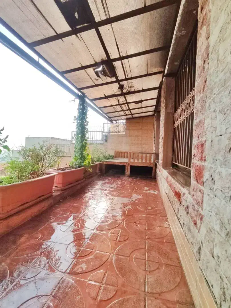 316 متر ویودار و زیبا