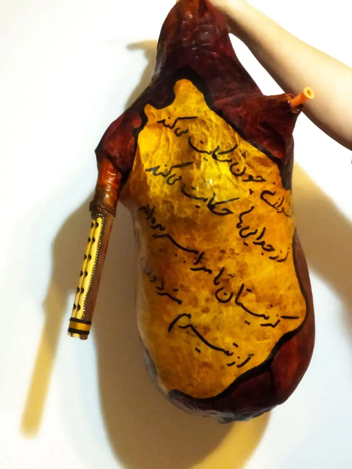 نی انبان|سازهای بادی|شیراز, درکی|دیوار