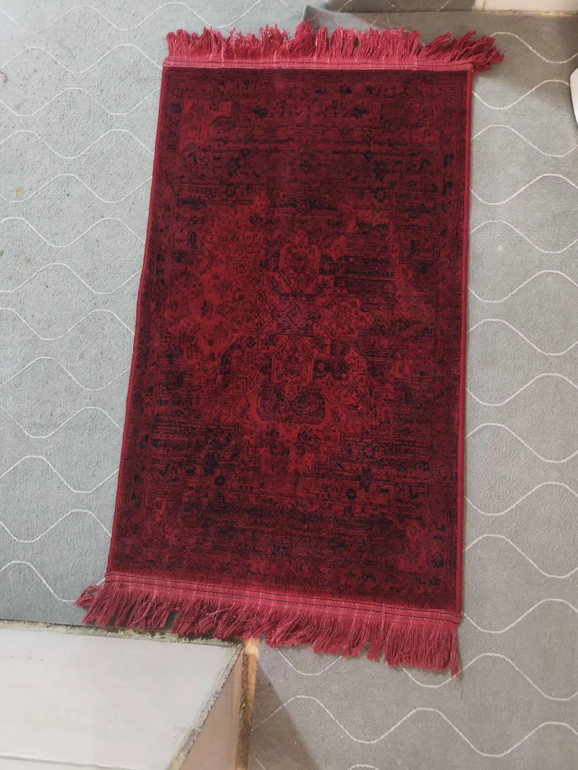 پادری|پادری|شیراز, شریف‌آباد|دیوار
