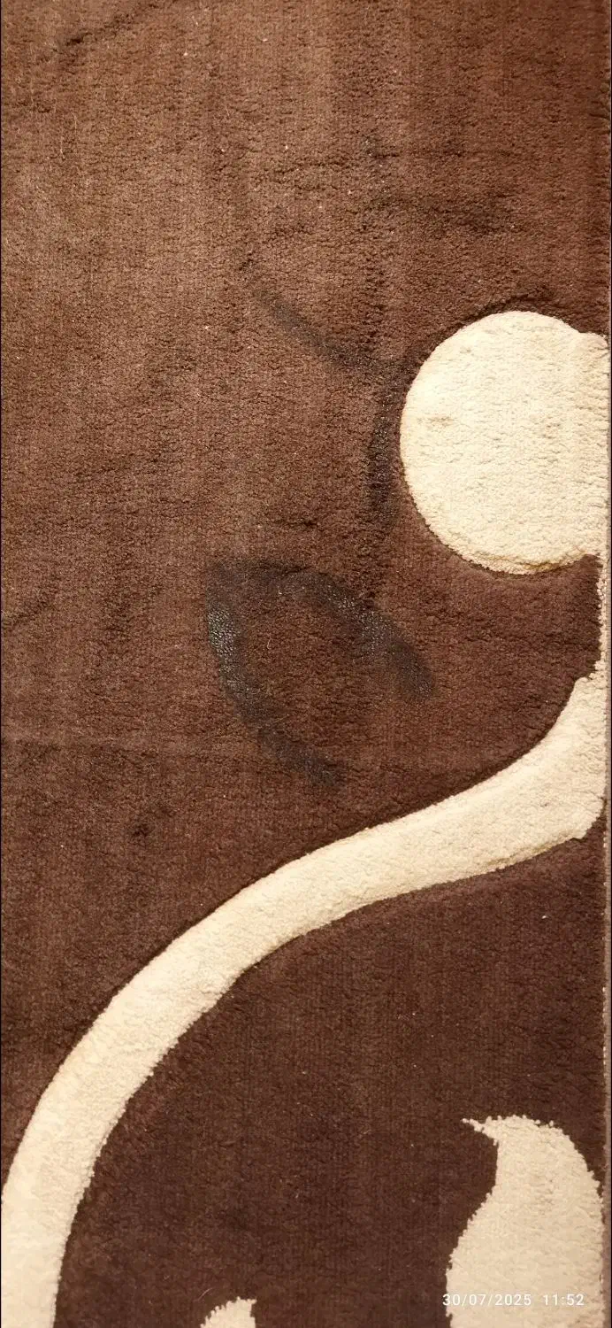 دو عدد گلیم فرش 6متری ،دو عددتو راهرویی|فرش|فولادشهر, B4|دیوار