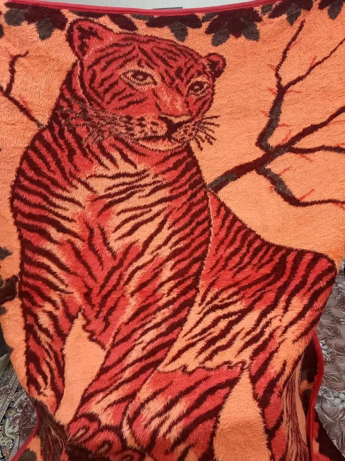 پتو معمولی|رختخواب، بالش، پتو|پاکدشت, پاکدشت (مامازند)|دیوار