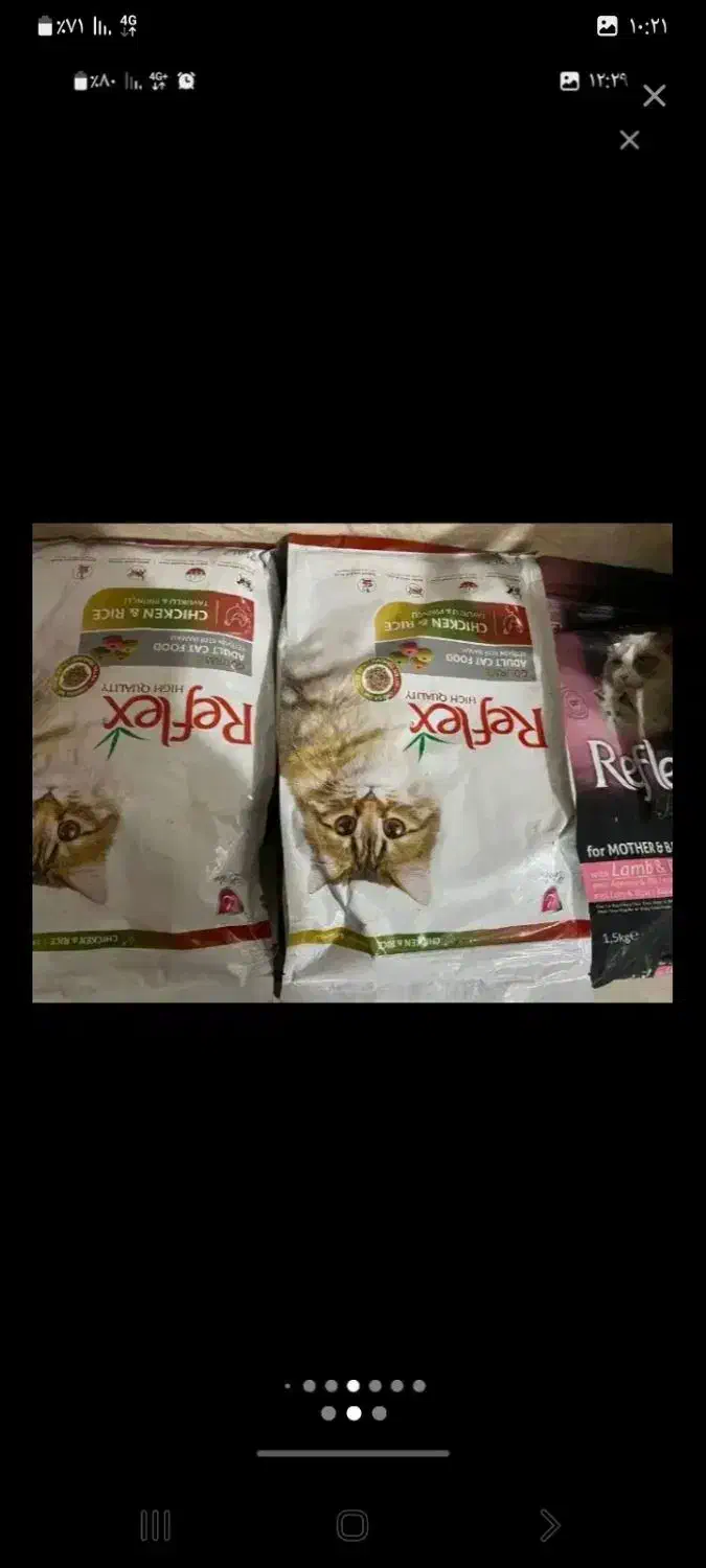 غذای سگ و گربه|لوازم جانبی حیوانات|دیواندره, |دیوار