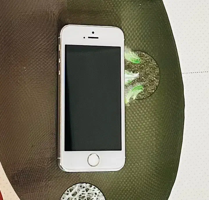 iPhone 5s 32gig|موبایل|تهران, تهرانسر شرقی|دیوار