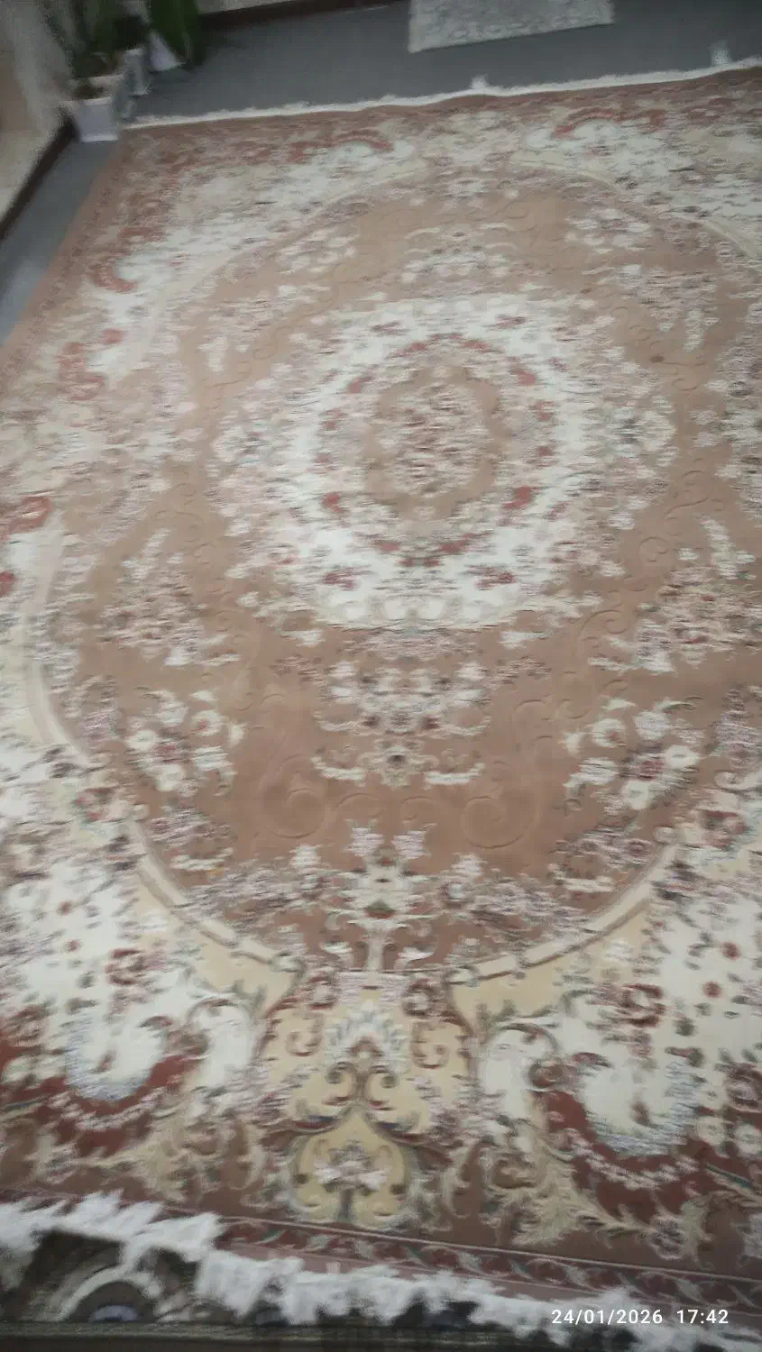 فرش ماشینی|فرش|پاکدشت, پاکدشت (مامازند)|دیوار