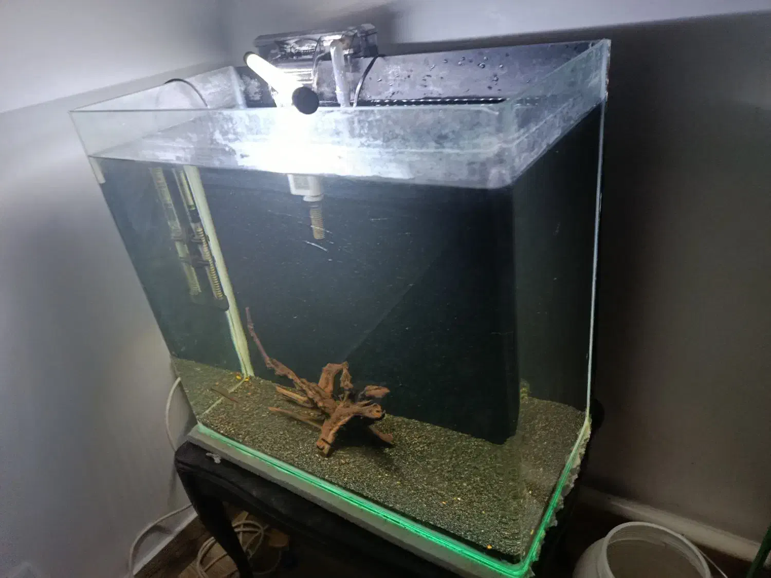 آکواریوم|ماهی|تبریز, |دیوار