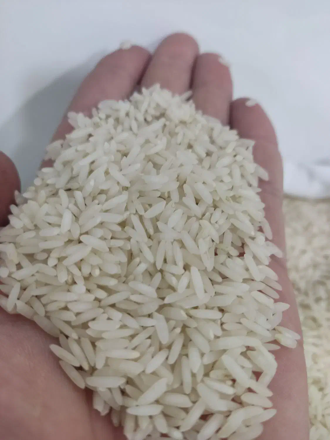 آقای برنج|خوردنی و آشامیدنی|کرمان, |دیوار