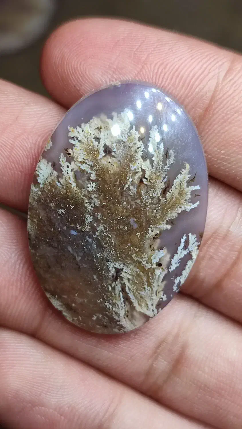 سنگ شجر|جواهرات|فردوس (خراسان), |دیوار